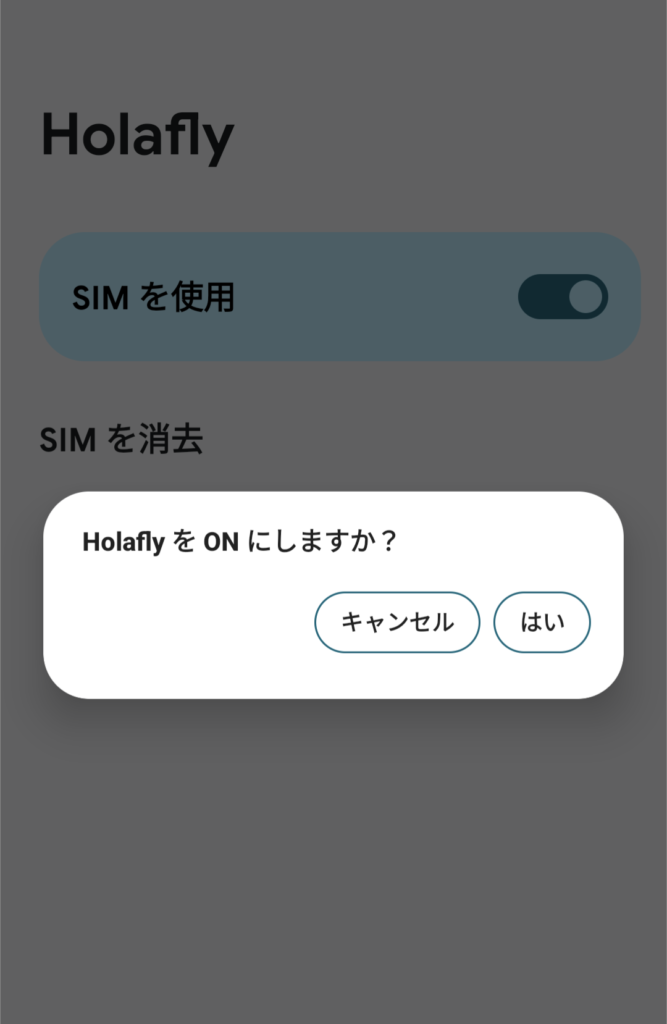 Holafly eSIM 使い方