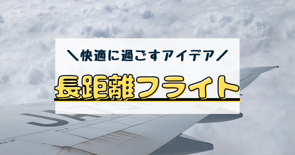 長距離フライト 過ごし方