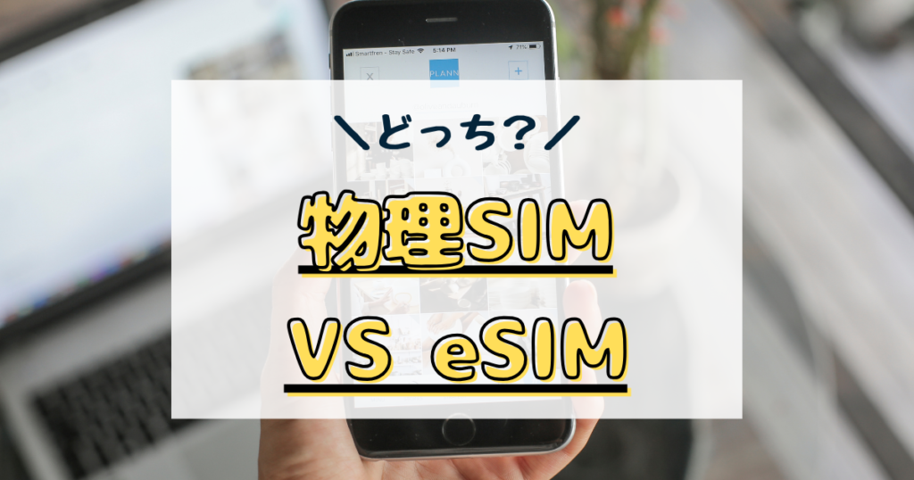 esim 物理sim どっち