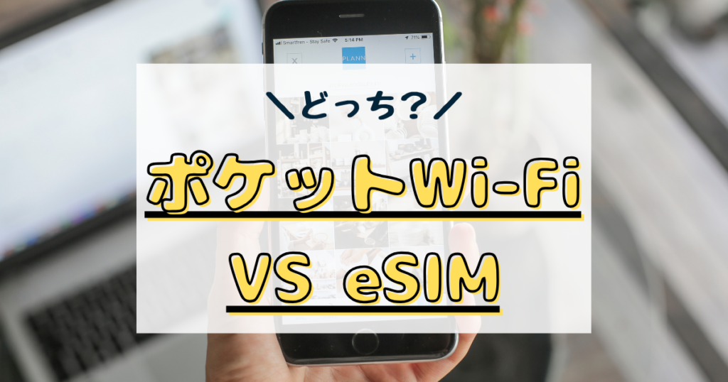 esim ポケット wifi どっち が いい